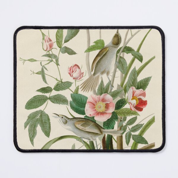 Item preview, Seaside Finch - John James Audubon Birds of America designed and sold by Natural History Prints.
