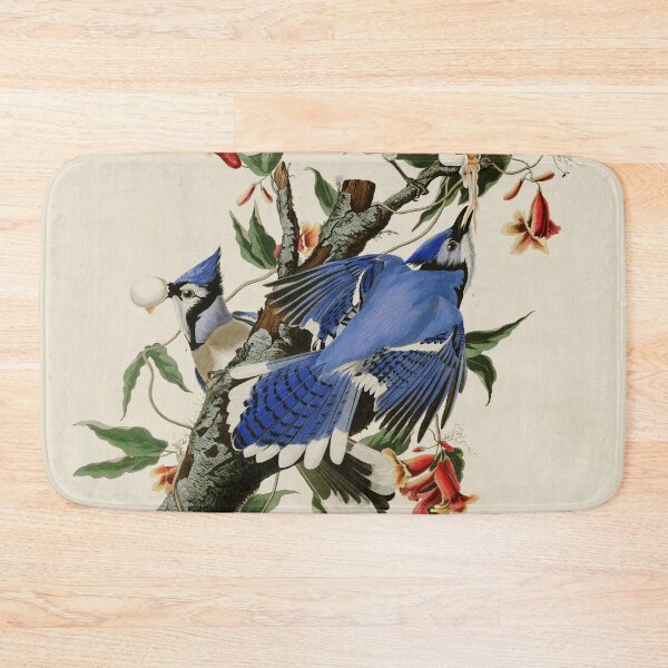 Item preview, Blue Jay - John James Audubon Birds of America designed and sold by Natural History Prints.