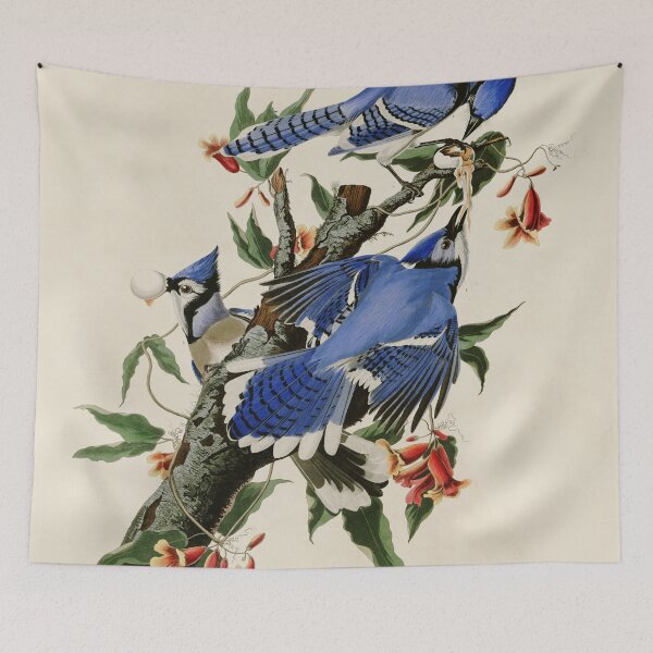 Item preview, Blue Jay - John James Audubon Birds of America designed and sold by Natural History Prints.