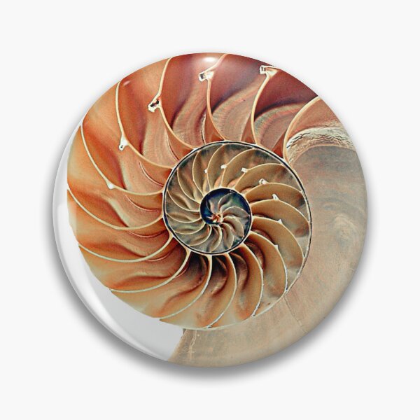 Item preview, Seashell designed and sold by batucebeci.