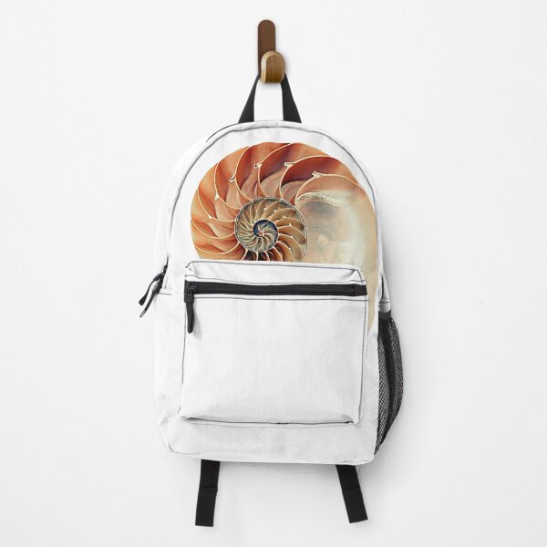 Item preview, Seashell designed and sold by batucebeci.