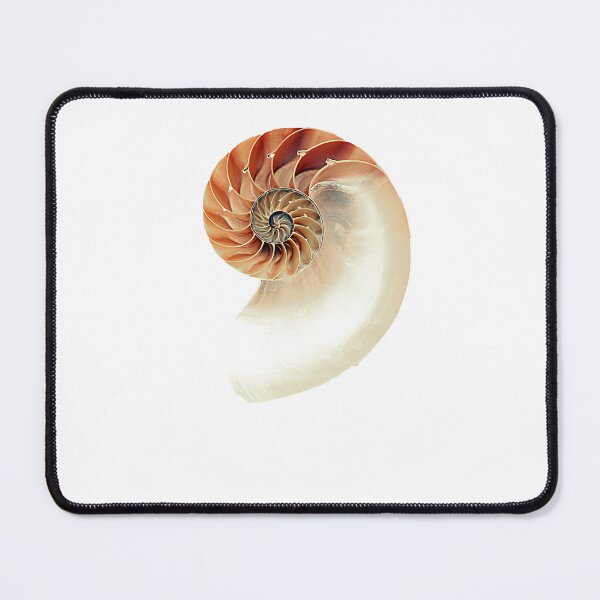 Item preview, Seashell designed and sold by batucebeci.