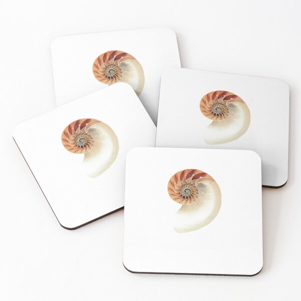 Item preview, Seashell designed and sold by batucebeci.