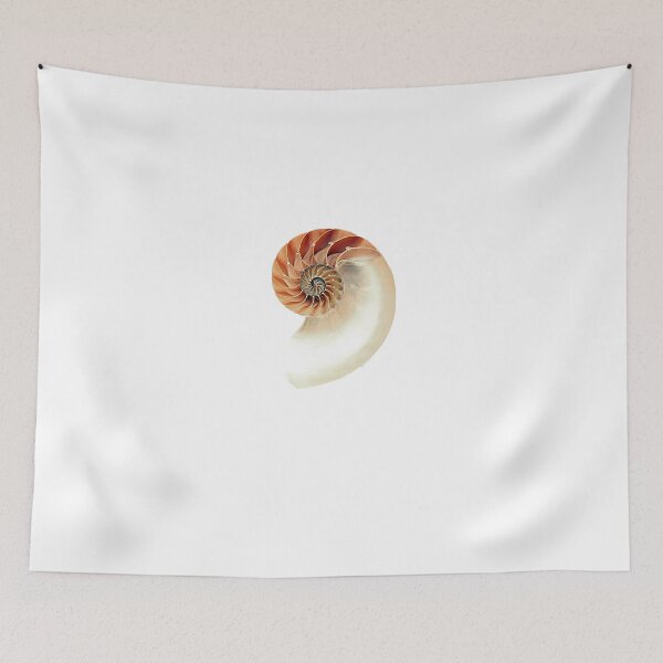 Item preview, Seashell designed and sold by batucebeci.