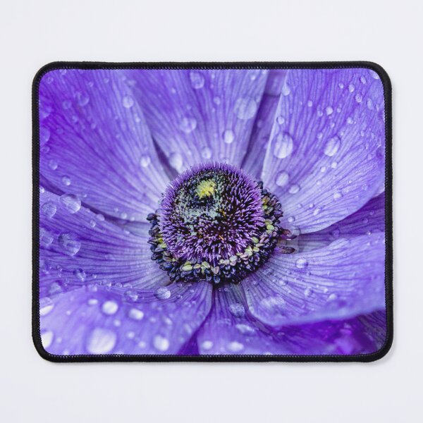 Item preview, Anemone After Rainshower designed and sold by Paula Bund.
