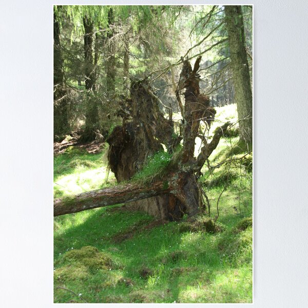 Item preview, New growth from old. designed and sold by Donal Faogain.