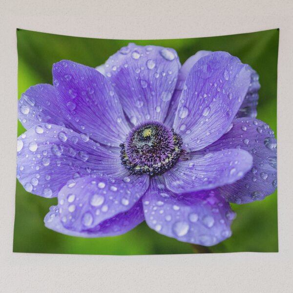 Item preview, Anemone After Rainshower designed and sold by Paula Bund.