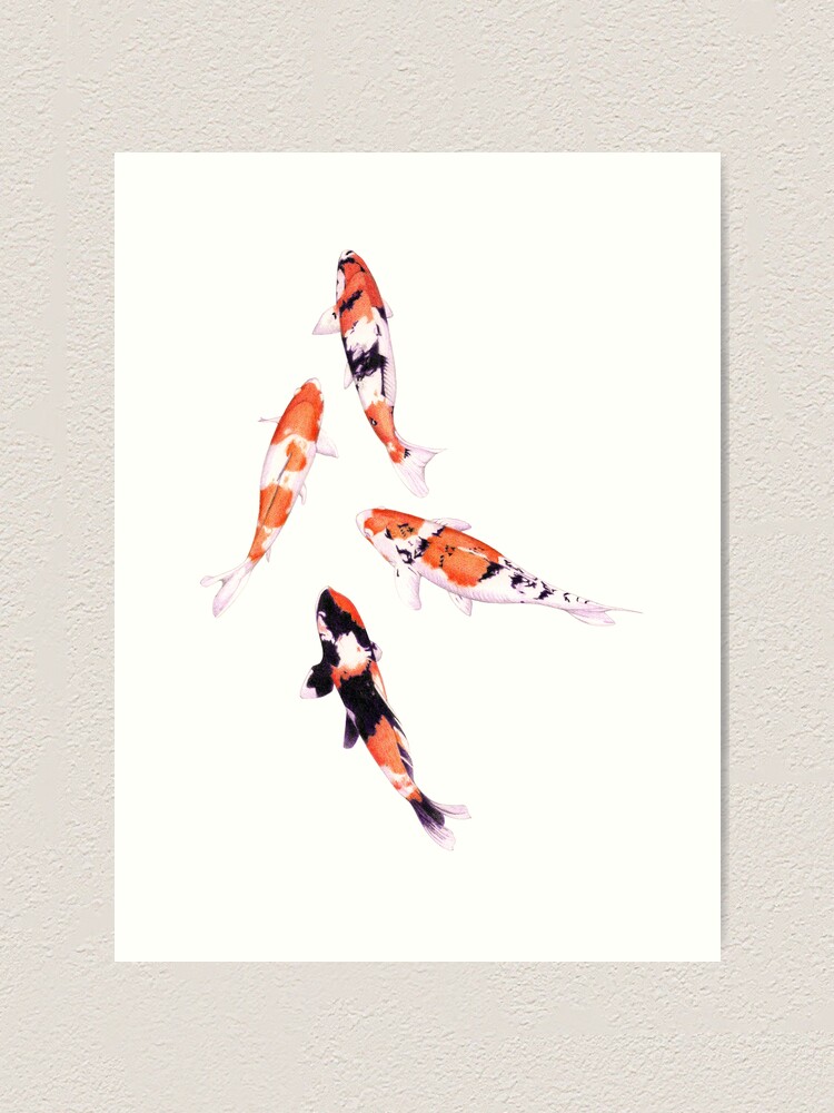 Alternate view of Floating Koi Art Print