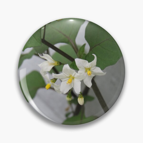 Item preview, Solanum nigrum flowers designed and sold by greentiger1.