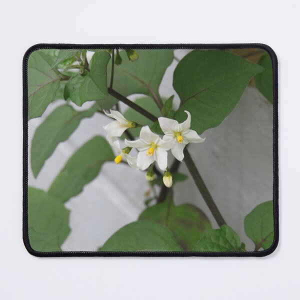 Item preview, Solanum nigrum flowers designed and sold by greentiger1.