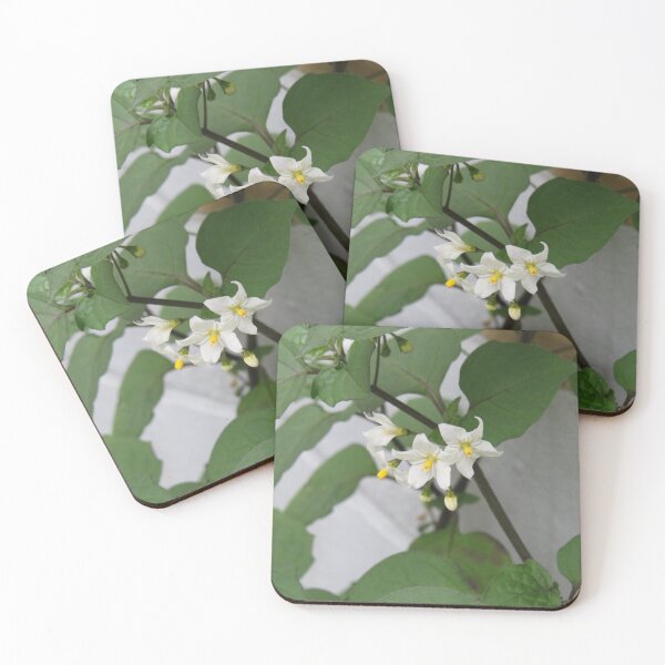 Item preview, Solanum nigrum flowers designed and sold by greentiger1.