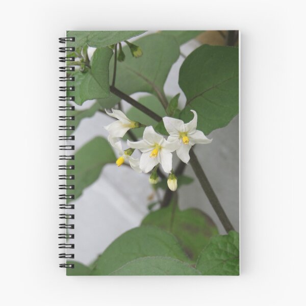 Item preview, Solanum nigrum flowers designed and sold by greentiger1.