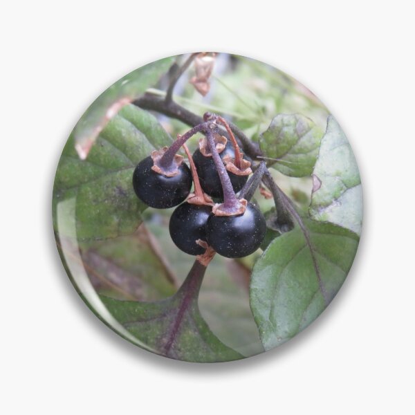 Item preview, Solanum nigrum fruit designed and sold by greentiger1.