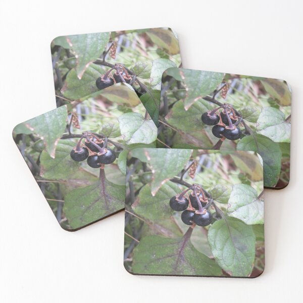 Item preview, Solanum nigrum fruit designed and sold by greentiger1.