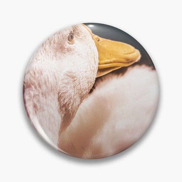 Item preview, Feathers Aglow designed and sold by Jim Love.