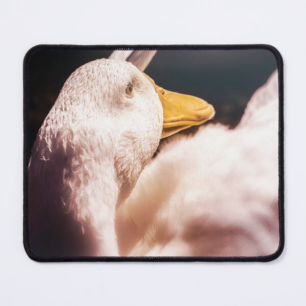 Item preview, Feathers Aglow designed and sold by Jim Love.