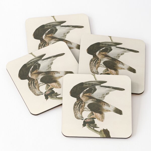 Item preview, Rough Legged Falcon John James Audubon Birds of America designed and sold by Natural History Prints.