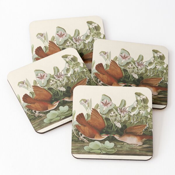 Item preview, Key West Dove - John James Audubon Birds of America designed and sold by Natural History Prints.