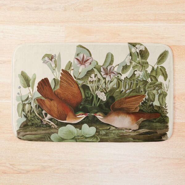 Item preview, Key West Dove - John James Audubon Birds of America designed and sold by Natural History Prints.