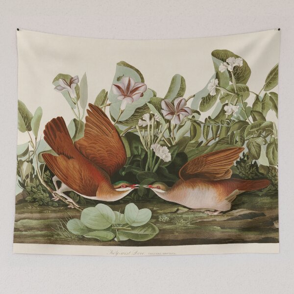 Item preview, Key West Dove - John James Audubon Birds of America designed and sold by Natural History Prints.