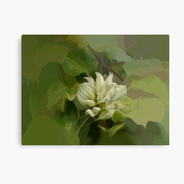 abstract of Green Clematis Metal Print
