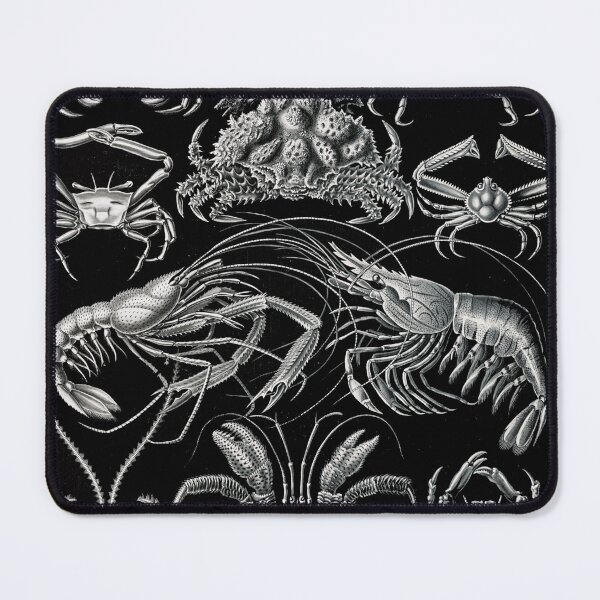 Item preview, Decapoda–Behnfukkreble ,Chesapeake blue crab ,White shrimp ,Whiteleg shrimp by Ernst Haeckel designed and sold by TeeARTHY.