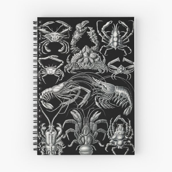 Item preview, Decapoda–Behnfukkreble ,Chesapeake blue crab ,White shrimp ,Whiteleg shrimp  by Ernst Haeckel designed and sold by TeeARTHY.