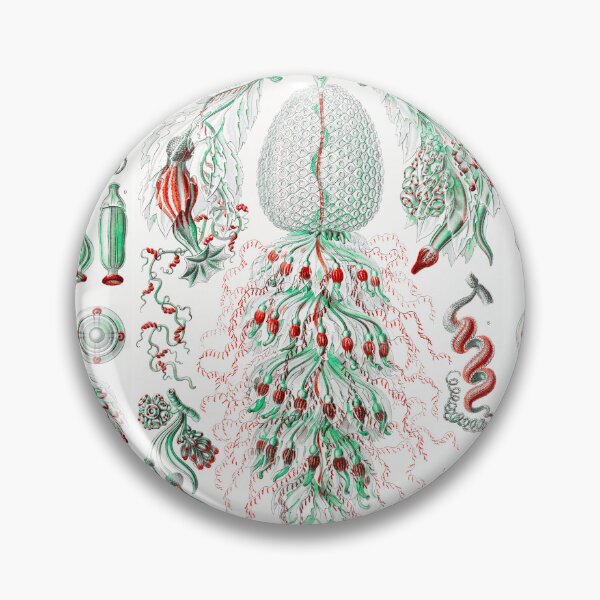 Item preview, Siphonophorae–State Jellyfish from Kunstformen der Natur (1904) by Ernst Haeckel designed and sold by TeeARTHY.