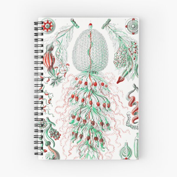 Item preview, Siphonophorae–State Jellyfish from Kunstformen der Natur (1904) by Ernst Haeckel designed and sold by TeeARTHY.