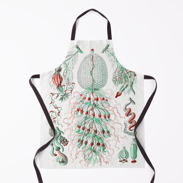 Item preview, Siphonophorae–State Jellyfish from Kunstformen der Natur (1904) by Ernst Haeckel designed and sold by TeeARTHY.