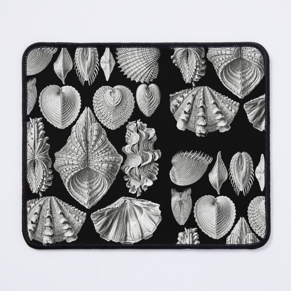 Item preview, Acephala shells from Kunstformen der Natur (1904) by Ernst Haeckel designed and sold by TeeARTHY.