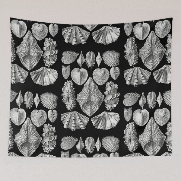 Item preview, Acephala shells from Kunstformen der Natur (1904) by Ernst Haeckel designed and sold by TeeARTHY.
