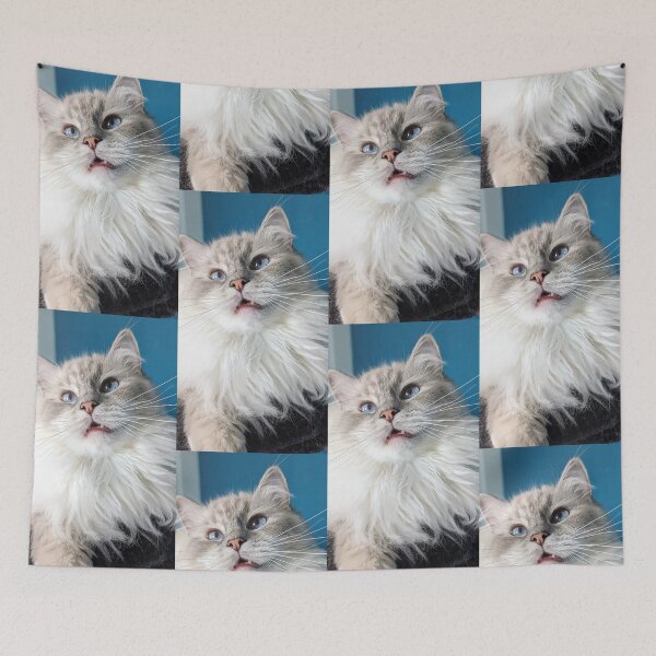 Item preview, Cute ragdoll cat face designed and sold by Fluffycat2020.