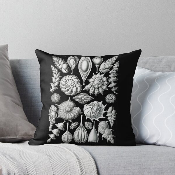 Item preview, Thalamophora–Kammerlinge from Kunstformen der Natur (1904) by Ernst Haeckel designed and sold by TeeARTHY.