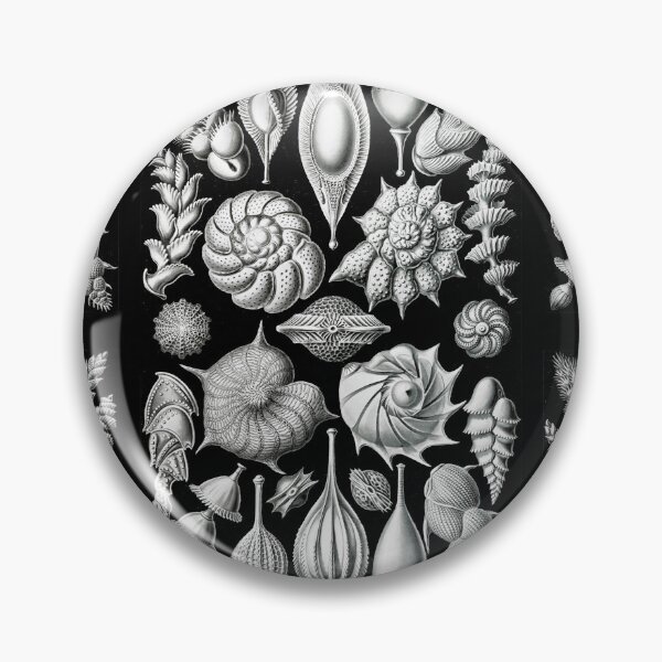 Item preview, Thalamophora–Kammerlinge from Kunstformen der Natur (1904) by Ernst Haeckel designed and sold by TeeARTHY.