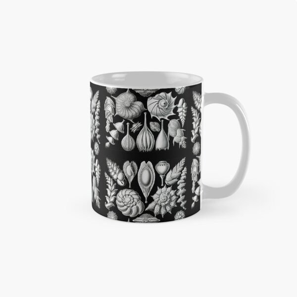 Item preview, Thalamophora–Kammerlinge from Kunstformen der Natur (1904) by Ernst Haeckel designed and sold by TeeARTHY.