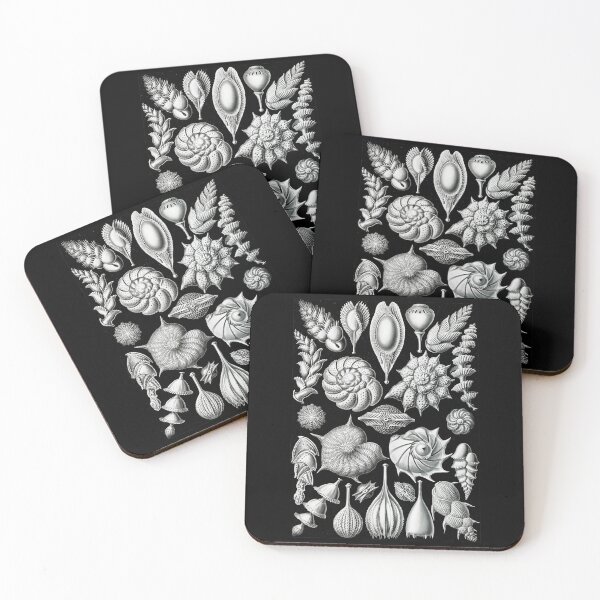 Item preview, Thalamophora–Kammerlinge from Kunstformen der Natur (1904) by Ernst Haeckel designed and sold by TeeARTHY.