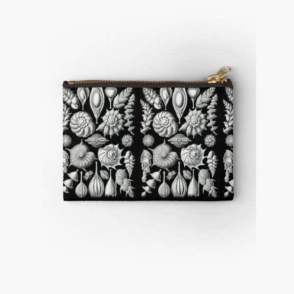 Item preview, Thalamophora–Kammerlinge from Kunstformen der Natur (1904) by Ernst Haeckel designed and sold by TeeARTHY.