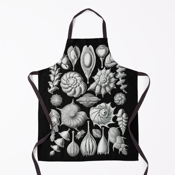 Item preview, Thalamophora–Kammerlinge from Kunstformen der Natur (1904) by Ernst Haeckel designed and sold by TeeARTHY.