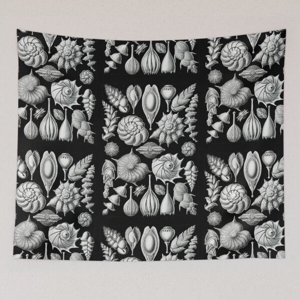 Item preview, Thalamophora–Kammerlinge from Kunstformen der Natur (1904) by Ernst Haeckel designed and sold by TeeARTHY.