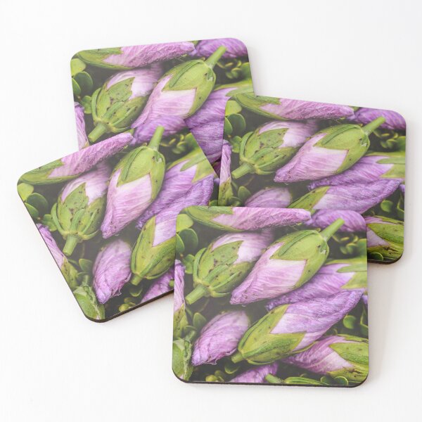 Item preview, Hibiscus Buds designed and sold by Jim Love.