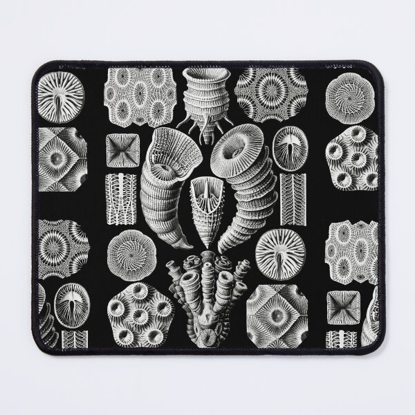 Item preview, Tetracoralla–Bierstrahlige Sternkorallen from Kunstformen der Natur (1904) by Ernst Haeckel designed and sold by TeeARTHY.