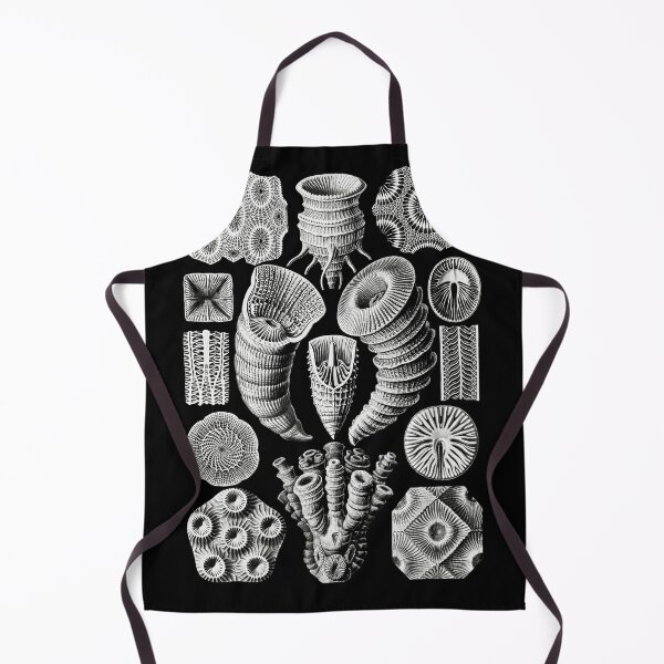 Item preview, Tetracoralla–Bierstrahlige Sternkorallen from Kunstformen der Natur (1904) by Ernst Haeckel designed and sold by TeeARTHY.