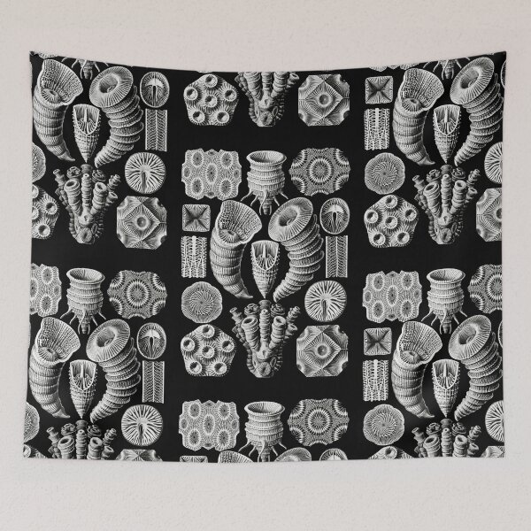 Item preview, Tetracoralla–Bierstrahlige Sternkorallen from Kunstformen der Natur (1904) by Ernst Haeckel designed and sold by TeeARTHY.