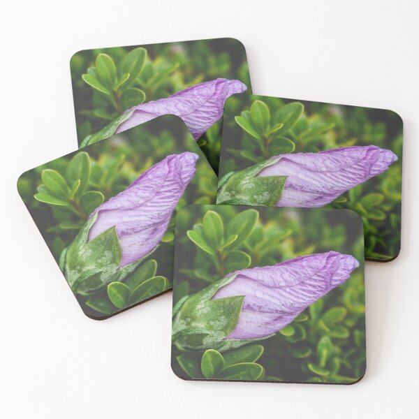 Item preview, Hibiscus Bud designed and sold by Jim Love.