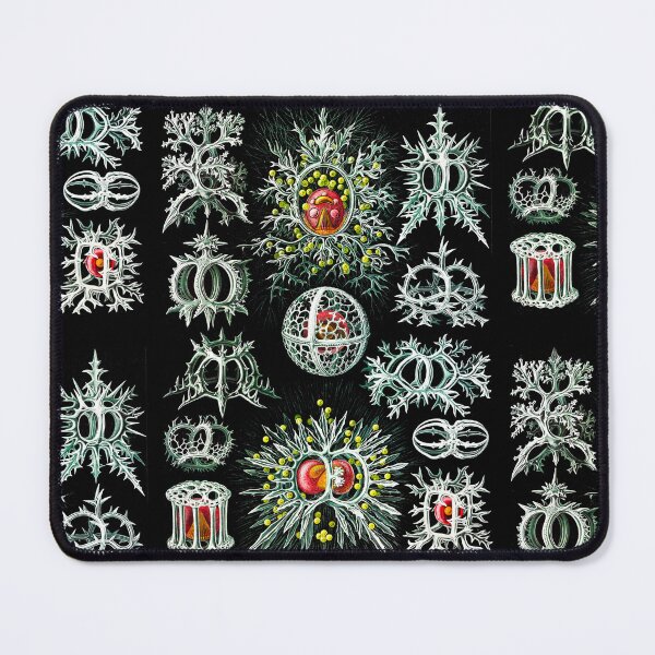 Item preview, Stephoidea–Ringelstrahlinge from Kunstformen der Natur (1904) by Ernst Haeckel designed and sold by TeeARTHY.