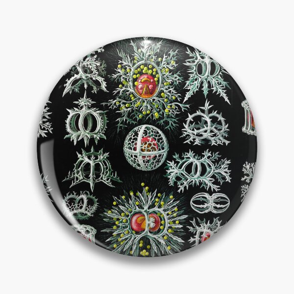 Item preview, Stephoidea–Ringelstrahlinge from Kunstformen der Natur (1904) by Ernst Haeckel  designed and sold by TeeARTHY.