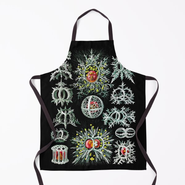 Item preview, Stephoidea–Ringelstrahlinge from Kunstformen der Natur (1904) by Ernst Haeckel designed and sold by TeeARTHY.