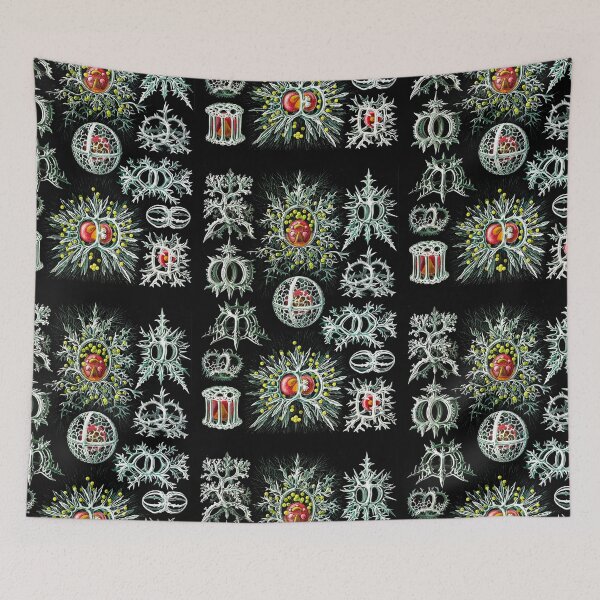 Item preview, Stephoidea–Ringelstrahlinge from Kunstformen der Natur (1904) by Ernst Haeckel  designed and sold by TeeARTHY.