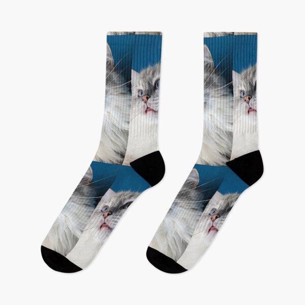 Item preview, Cute ragdoll cat face designed and sold by Fluffycat2020.
